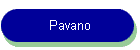 Pavano