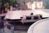 095.jpg (34060 byte)