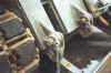 a16.jpg (45952 byte)