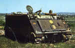 m113fm_01.jpg (67170 byte)