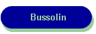 Bussolin